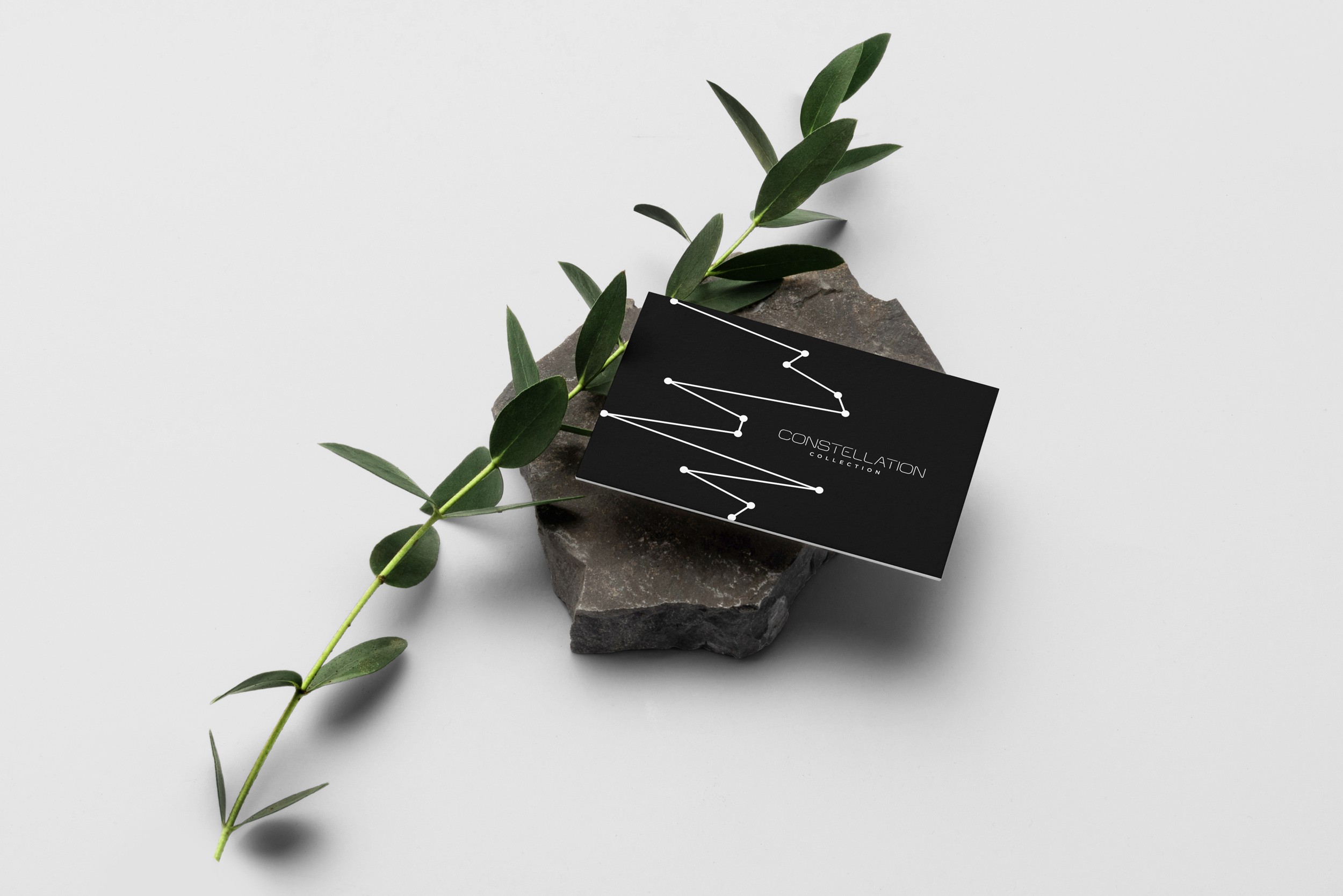 Business card mockup